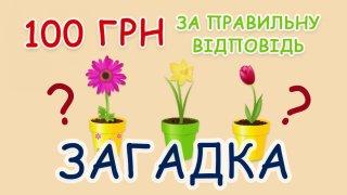 100 грн за правильну відповідь на загадку! Зможете відгадати?