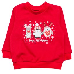 Джемпер для хлопчика Модель 4264-632 Червоний 