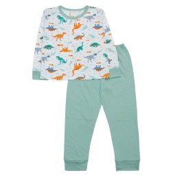 Пижама для мальчика Модель Т-261021 Фисташка Динозавры