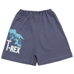 ﻿Шорти для хлопчика Модель 2231-022 Сірий Дінозавр T-Rex 