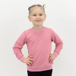 Джемпер для дівчинки Модель 4277-362 Пильна троянда 