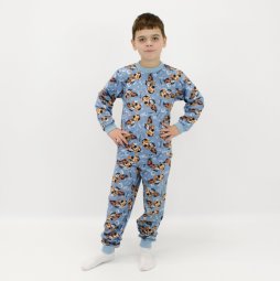 Піжама для хлопчика начіс 369-033 Блакитний Ведмедики 