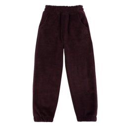 Штаны детские флис 4305-522 Сливовый
