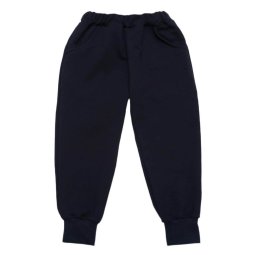Брюки спортивные детские Джогеры начес 4326-042 Темно-синий