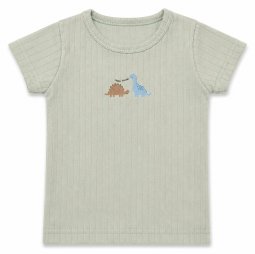 Футболка для мальчика интерлок 2308-792 Мятный Динозаврики