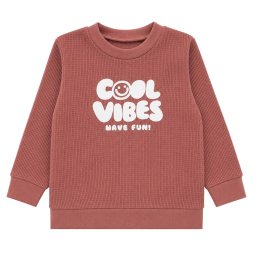 Джемпер детский интерлок-вафелька 4264-812 Терракотовый Cool vibes