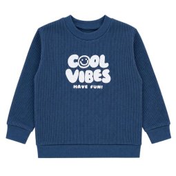 Джемпер для хлопчика інтерлок-вафелька 4264-812 Індіго Cool vibes 
