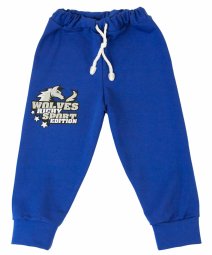 Брюки спортивные для хлопчика Модель 4182-362 
