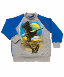 Джемпер для мальчика Модель 4179-262