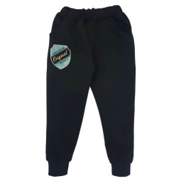 Штани спортивні дитячі Джогери двонитка 4258-362 Чорний Original 