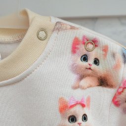 Костюм детский трехнитка начес Б-110858-353 Котики