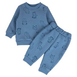 Костюм для мальчика трехнитка начес 7210-353 Серо-голубой Сафари