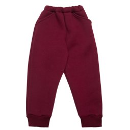 Штани спортивні дитячі тринитка начіс 4278-352 Бордо 