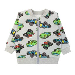 Кофта для мальчика двухнитка 4317-363 Серый Машинки