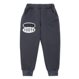 Штани спортивні дитячі Джогери двонитка 4258-362 Темно-сірий Youth 